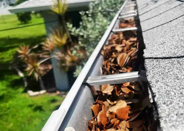 St. Paul gutter cleaning home page